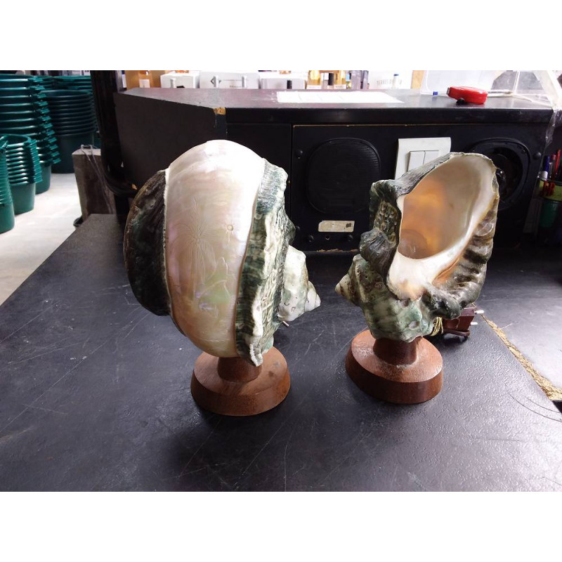 PAIRE DE LAMPE COQUILLAGE 