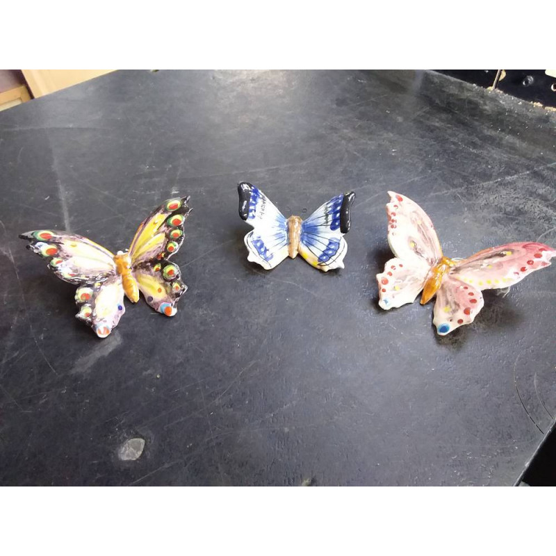 PAPILLON PETIT