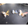 PAPILLON PETIT